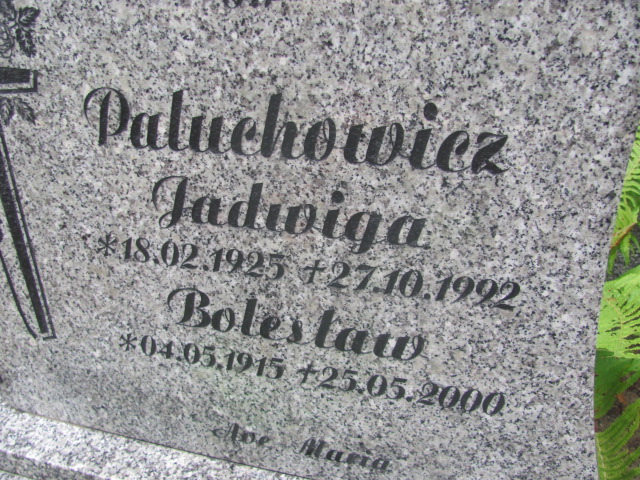 Zenon Paluchowicz (z eksh.) 1955 Żagań - Grobonet - Wyszukiwarka osób pochowanych