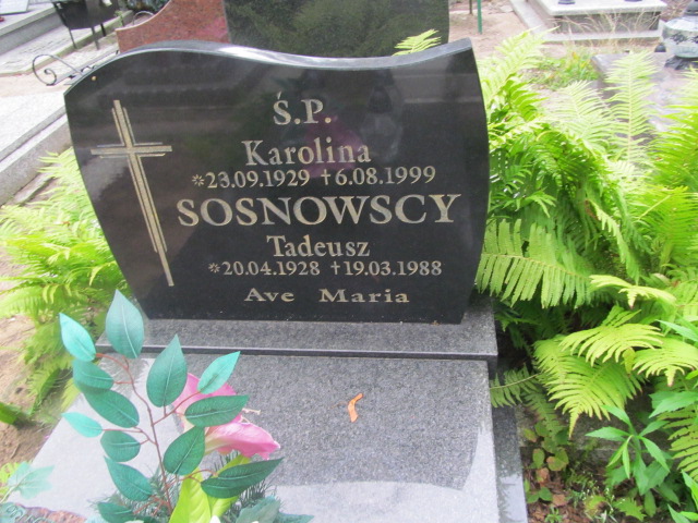 Jan Sosnowski 1958 Żagań - Grobonet - Wyszukiwarka osób pochowanych