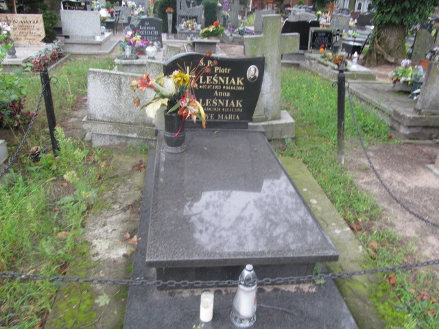 Grób Michał Leśniak