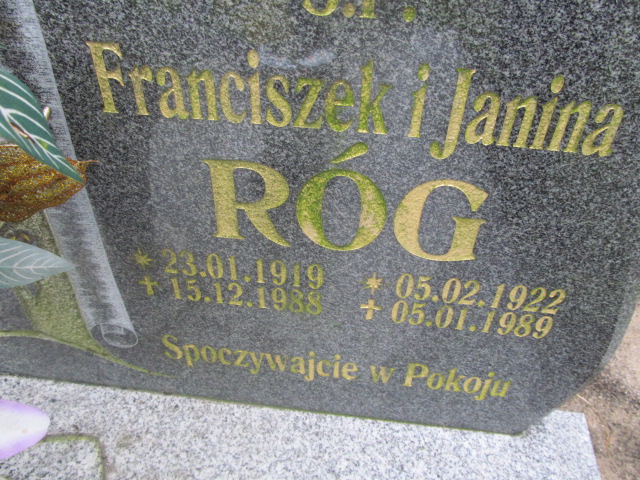 Franciszek Róg 1919 Żagań - Grobonet - Wyszukiwarka osób pochowanych