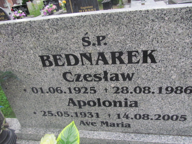 Apolonia Bednarek 1931 Żagań - Grobonet - Wyszukiwarka osób pochowanych