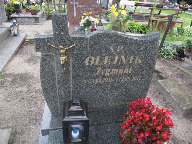 Zygmunt Olejnik 1936 Żagań - Grobonet - Wyszukiwarka osób pochowanych