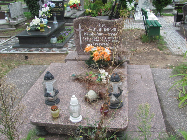Grób Władysław Śliwa