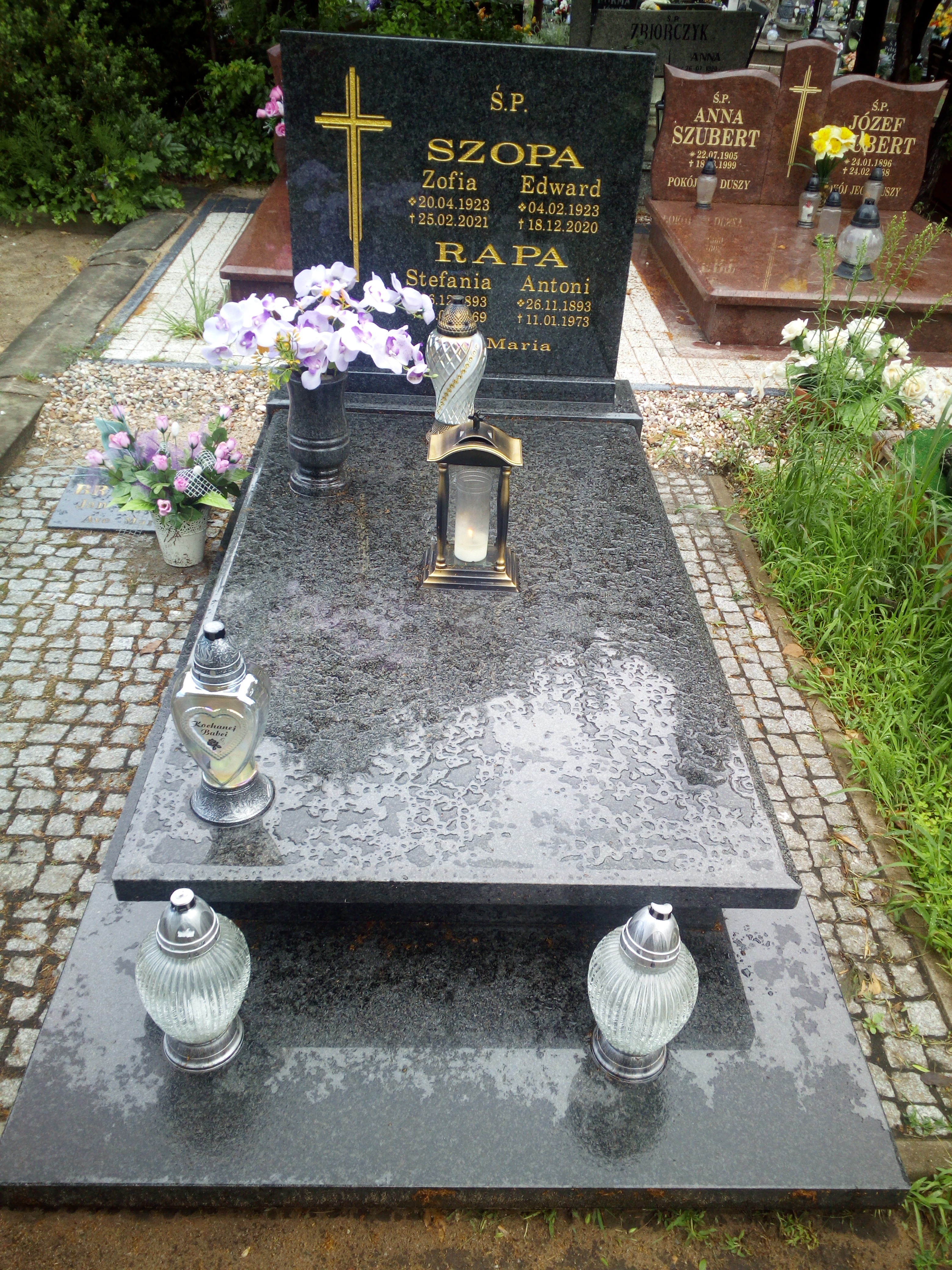 Stefania Rapa (z eksh.) 1893 Żagań - Grobonet - Wyszukiwarka osób pochowanych