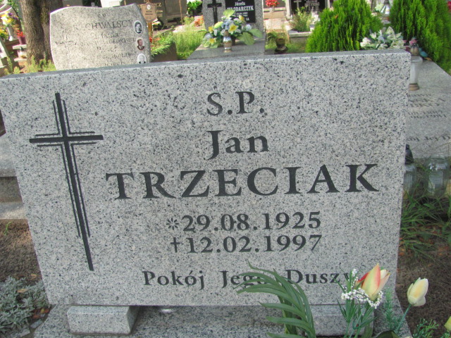 Jan Trzeciak 1925 Żagań - Grobonet - Wyszukiwarka osób pochowanych
