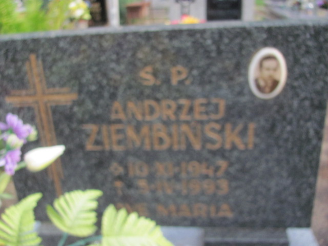 Andrzej Ziembiński 1947 Żagań - Grobonet - Wyszukiwarka osób pochowanych