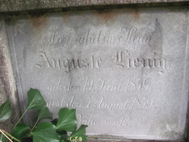 Grób Auguslr Lienig