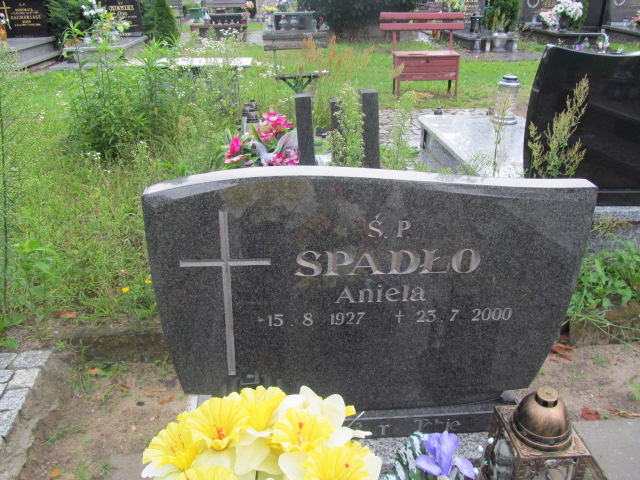 Grób Aniela Spadło