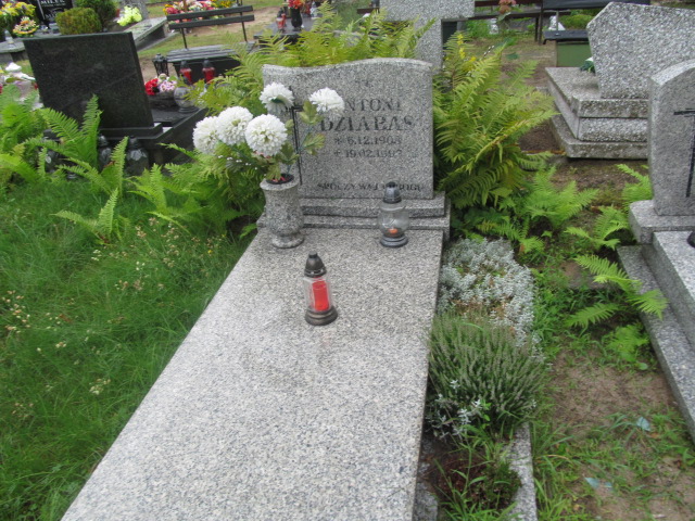 Leszek Olszewski 1943 Żagań - Grobonet - Wyszukiwarka osób pochowanych