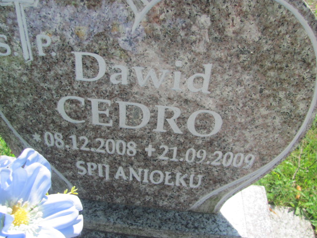 Dawid Cedro 2008 Żagań - Grobonet - Wyszukiwarka osób pochowanych
