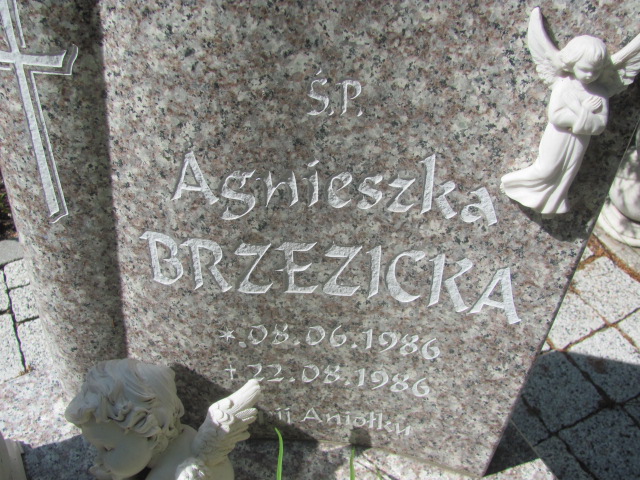 Grób Agnieszka Brzezicka