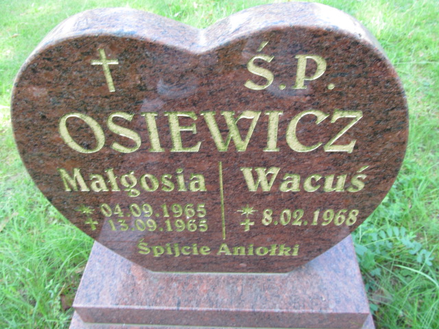 Grób Stanisława Osiewicz