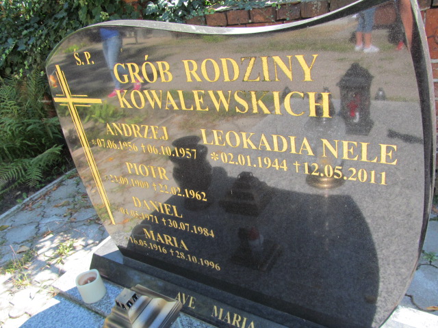 Daniel Kowalewski 1971 Żagań - Grobonet - Wyszukiwarka osób pochowanych